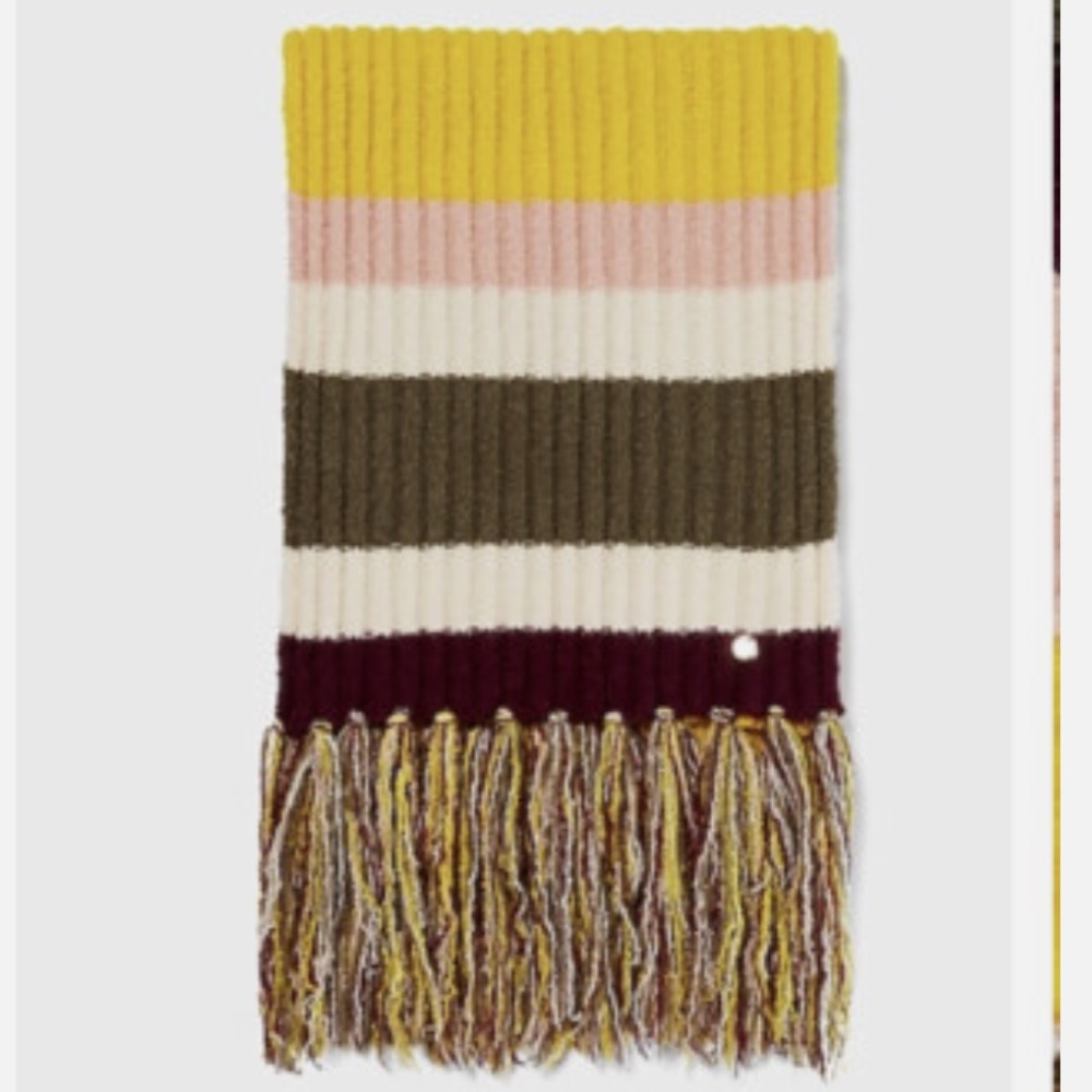 EXPRESS long striped scarf w/decorative fringe NWT